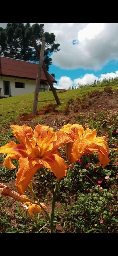 Вилла Chale Com Vidros E Hidromassagem Сан-Бенту-ду-Сапукаи Экстерьер фото